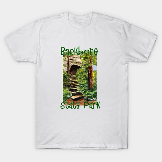 Backbone State Park, Iowa T-Shirt by MMcBuck